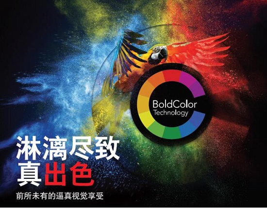 BoldColorǿƵǳ ӳӴ