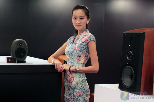 白天鹅2010:气质美女惊现惠威展台!