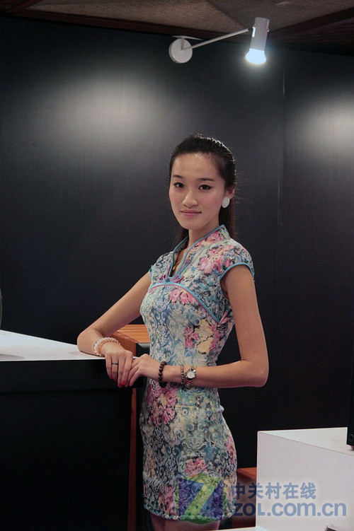 白天鹅2010:气质美女惊现惠威展台!