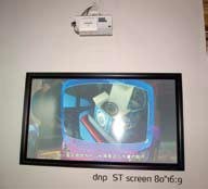 dnp 80Ӣ16:9̽Ļdnp ST Screen  