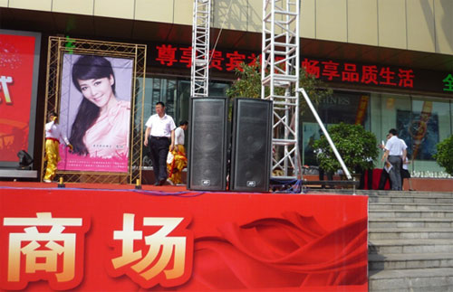 PEAVEY  QW䲼  