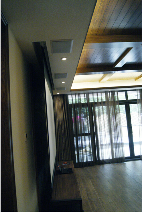 TRUAUDIO ǶʽӰϵͳ