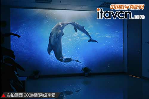 实拍画面